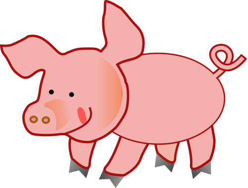 pink pig fat