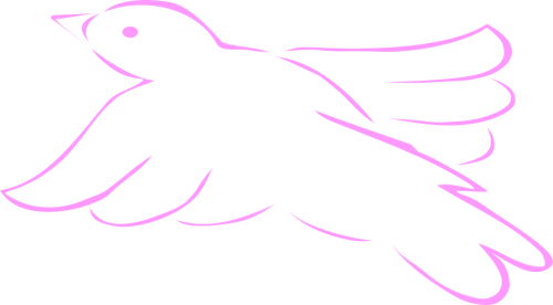 pink bird dove