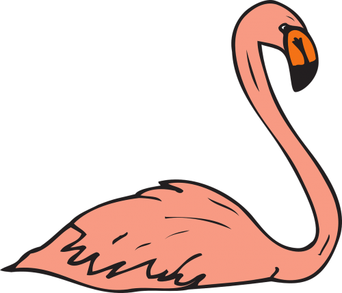 pink bird swimming