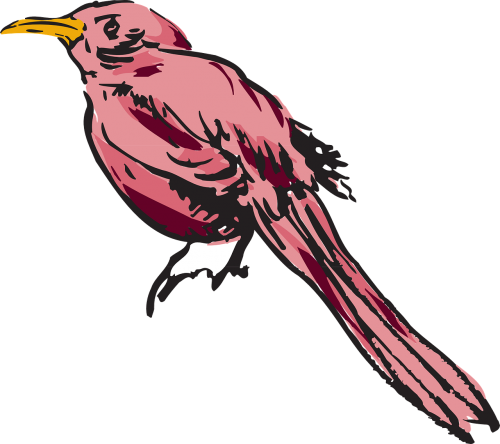 pink bird wings