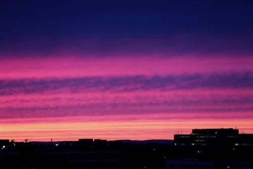 pink purple sunset