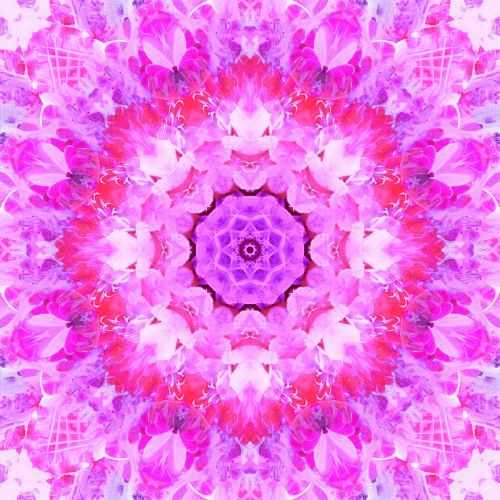 Pink Abstract Floral Background