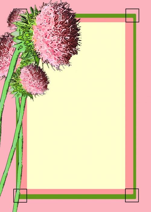 Pink &amp; Green Flower Invitation