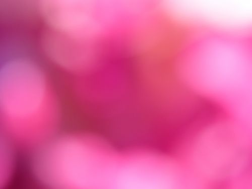 Pink Bokeh Background