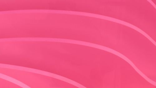 Pink Curve Background