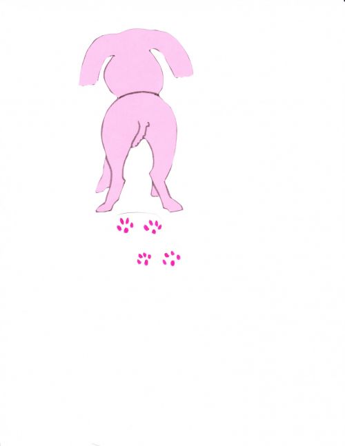 Pink Dog Walking