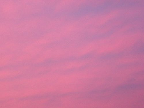 Pink Evening Sky