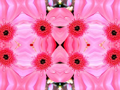 Pink Floral Kaleidoscope Background