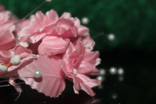 Pink Flower 4