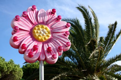 pink flower fun fair panel