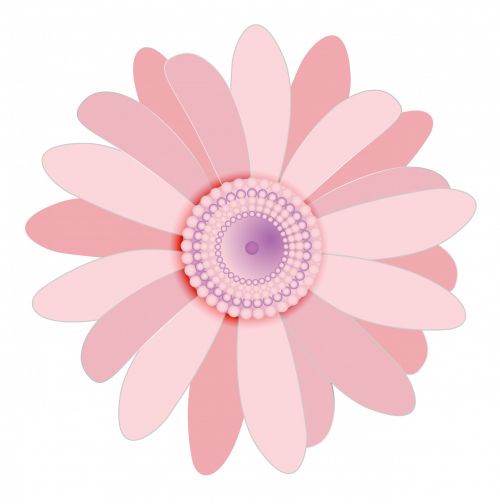 Pink Flower Art