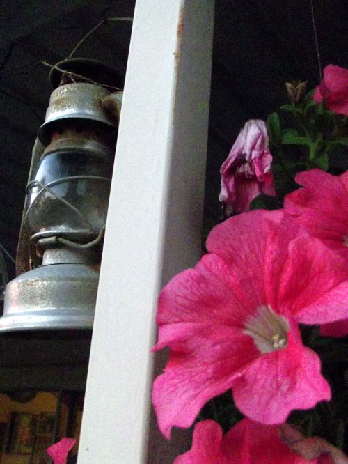 Pink Flower Lantern 1