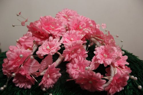 Pink Flowers 3