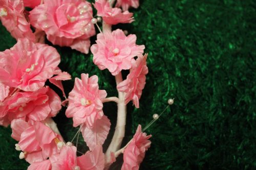 Pink Flowers 4