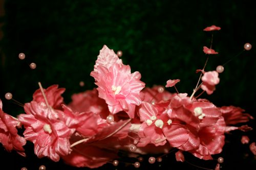 Pink Flowers 5