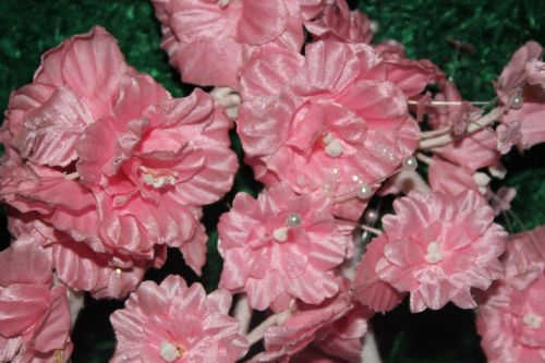 Pink Flowers 6