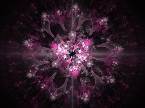 Pink Fractal