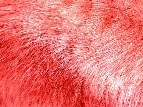 Pink Fur Background