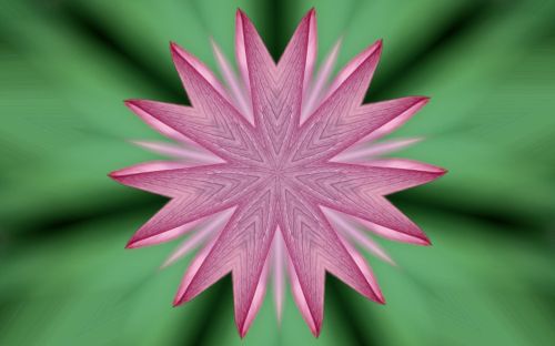 Pink Kaleidoscope - Flower
