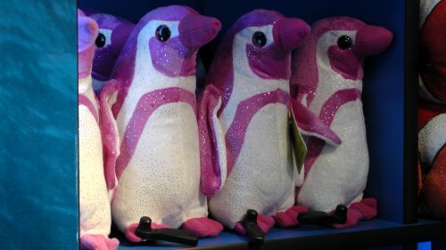 Pink Penguins On A Shelf
