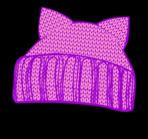 pink pussy knit hat feminist