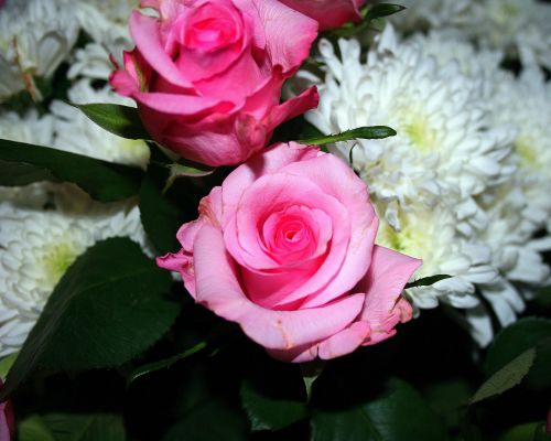 Pink Rose In Bouquet