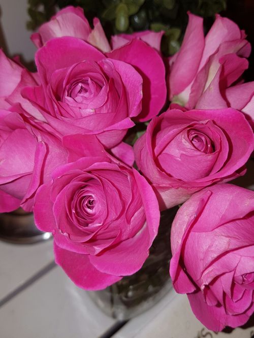 Pink Rose Roses Posy