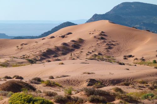 pink sand dunes utah usa