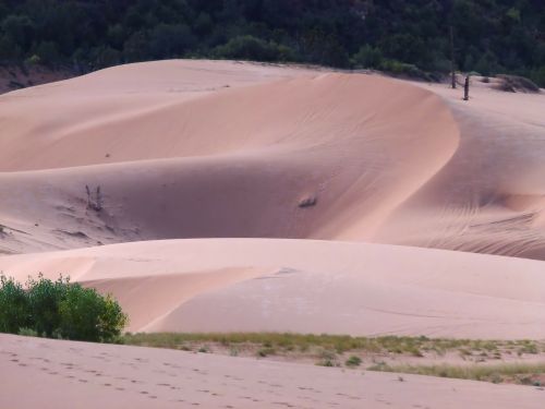 pink sand dunes utah usa