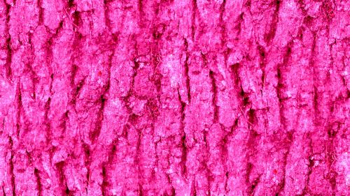 Pink Seamless Bark Background