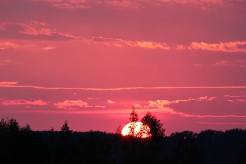 pink sunset evening nature