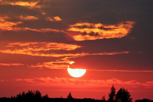 pink sunset evening nature