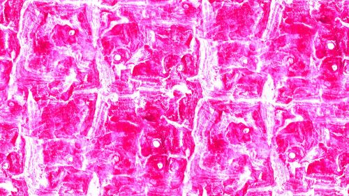 Pink Twist Background