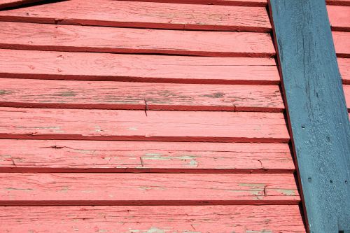 Pink Wood On A Shack