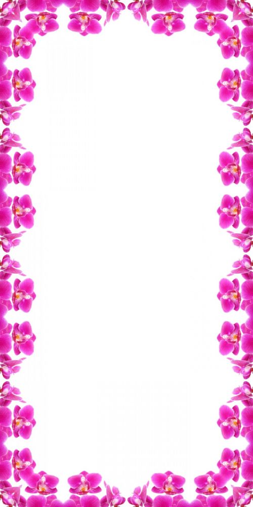 Pink Orchid Frame