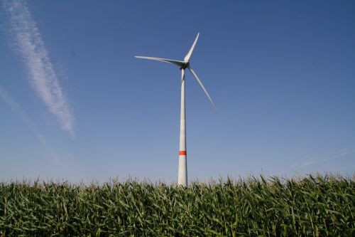 pinwheel field fields