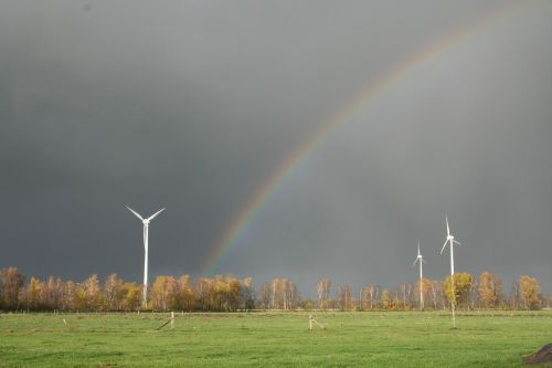 pinwheel rainbow meadow