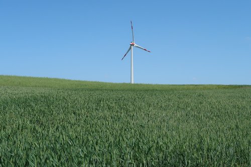 pinwheel  alternative energy  wind power