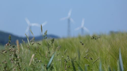 pinwheel windräder environment