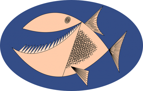 piranha angry fish