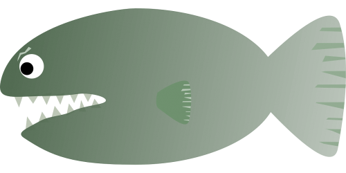 piranha fish teeth