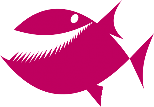 piranha pink fish
