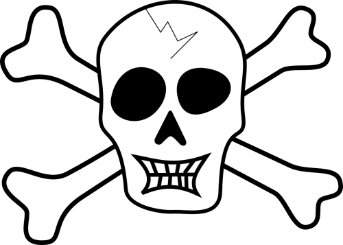 pirate piracy skull
