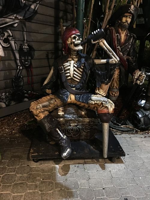 pirate beer skeleton