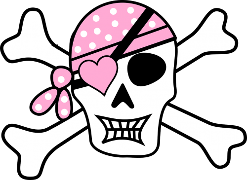 pirate skull skull and crossbones