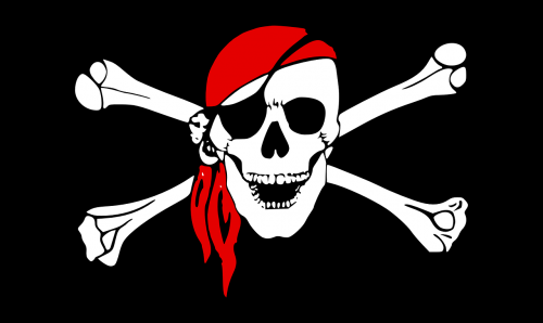 pirate flag bones
