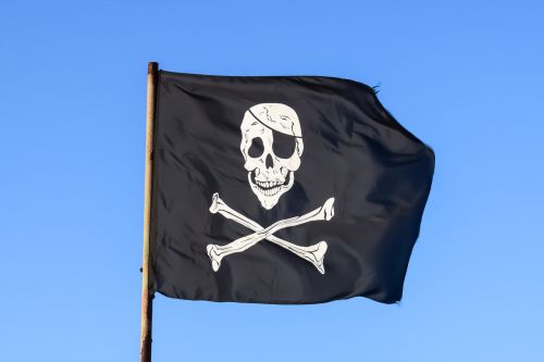 pirate flag black skull