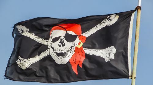 pirates flag skull
