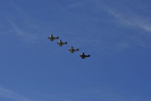 Pitts Special Team Formation