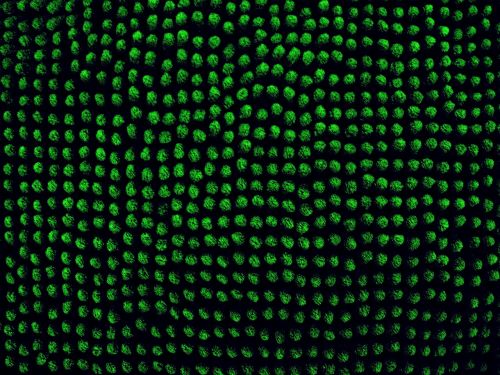 pixels surface green